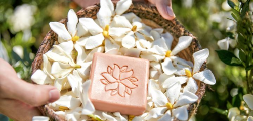 在生態友好的旅途中，愛上泰順 可持續旅游項目開發與管理的探索